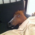 crazyhorseheadbed